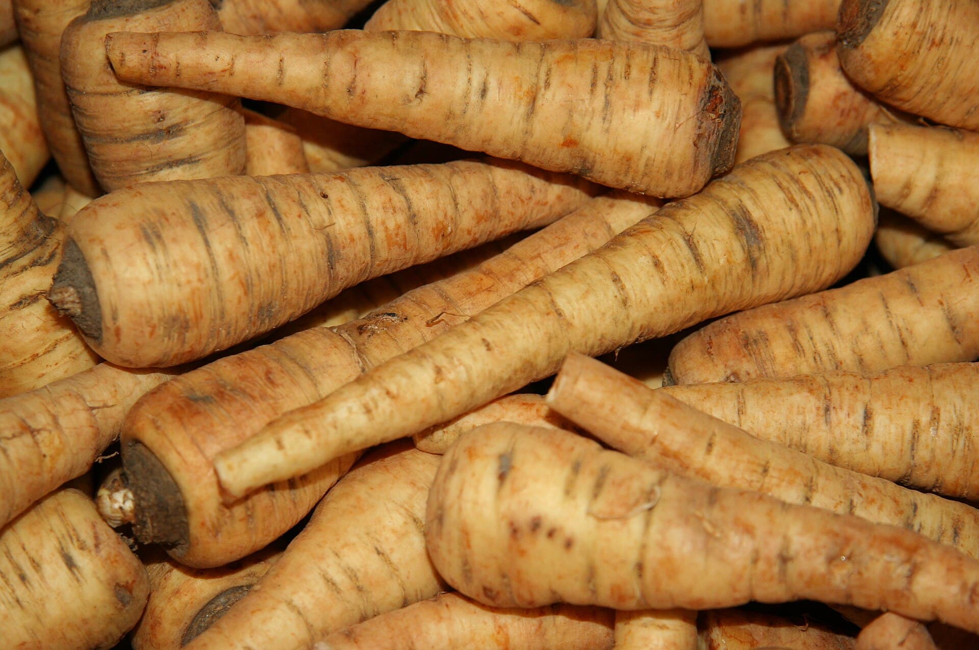 Roots and Squash trivia question image