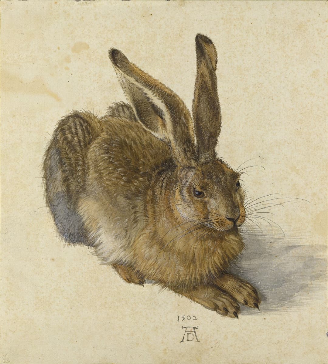 Renaissance Masters trivia question image