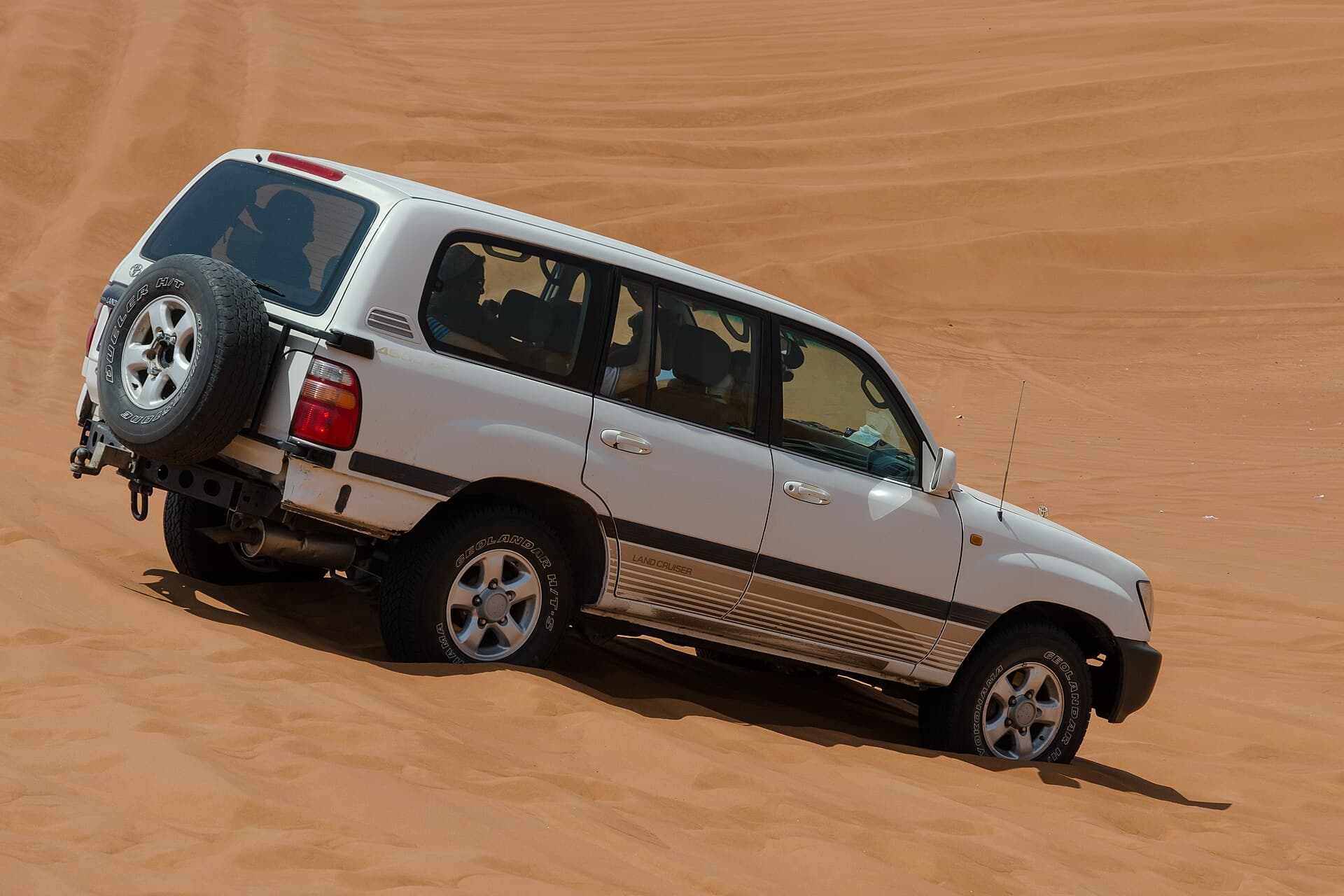 SUVs and Trucks trivia question image