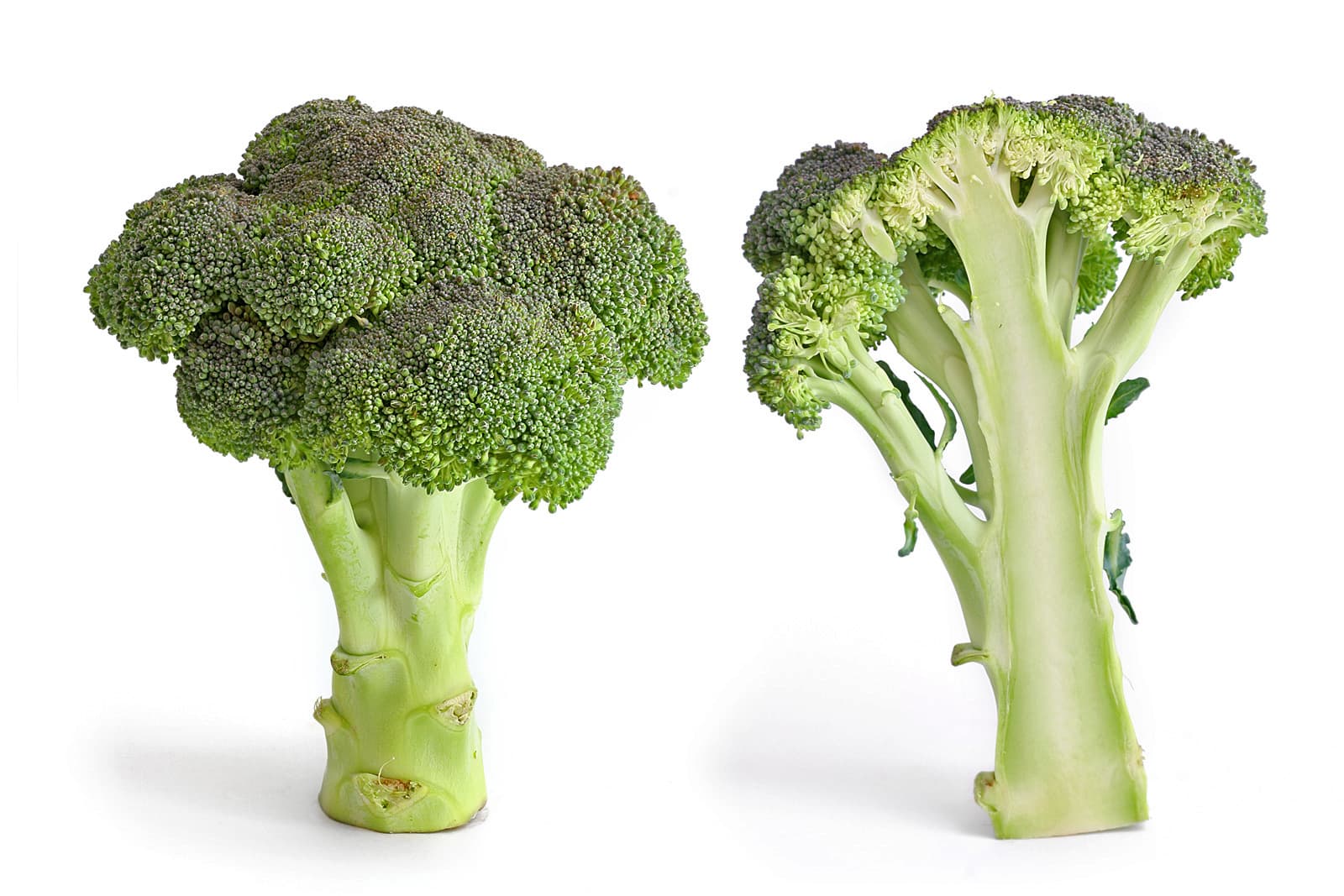 Everyday Vegetables trivia question image