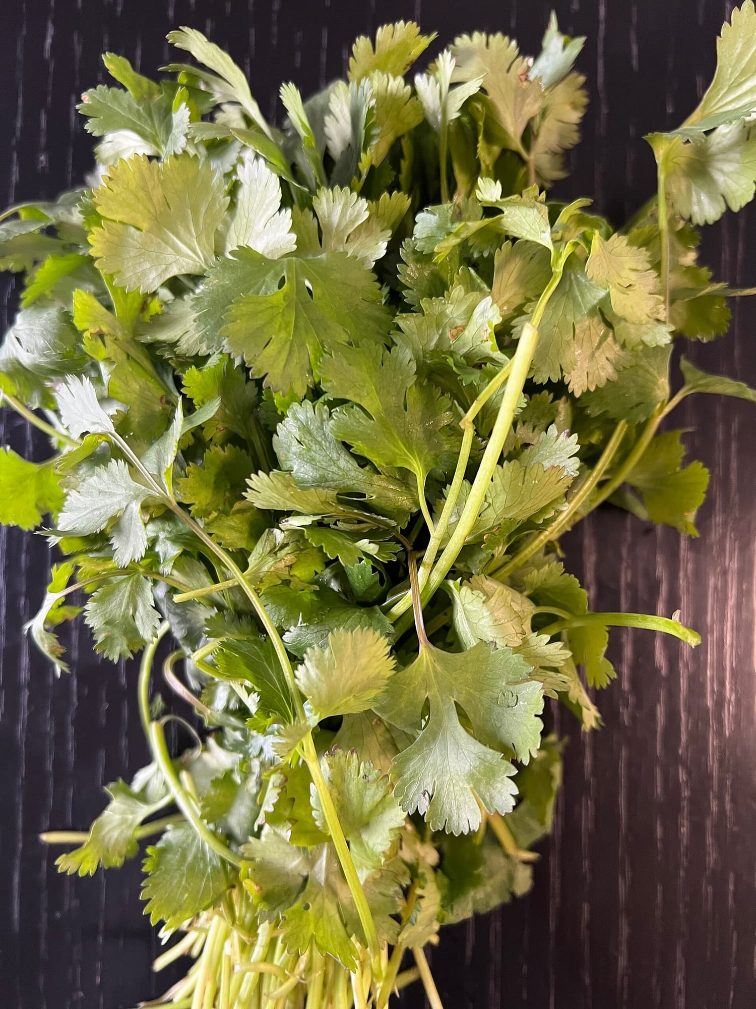 Herbs, Peppers and Mushrooms trivia question image