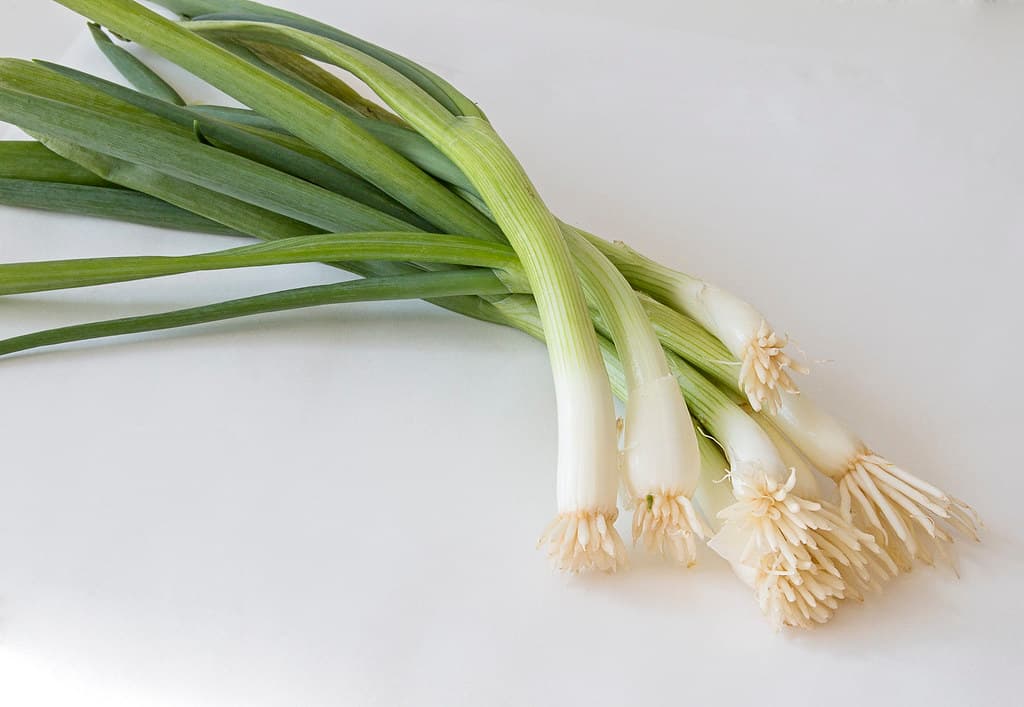 Everyday Vegetables trivia question image